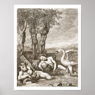 Affiche Cygnus transformé en Siste de cygne et de phaéton