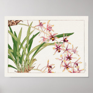 Affiche Cymbidium by Tanigami Konan