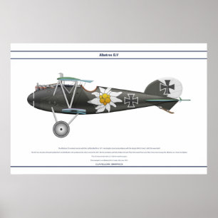 Affiche D.V Jasta 16b