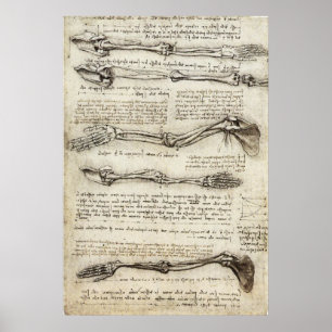 Affiche Da Vinci, Léonard - Étude de l'anatomie