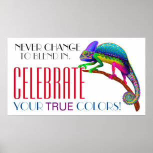 Affiche d'acceptation de l'encouragement à la dive