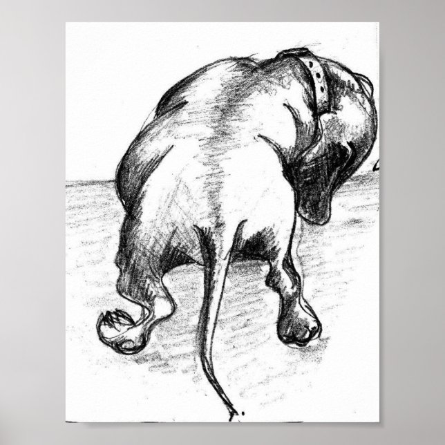 Affiche Dachshund (Devant)