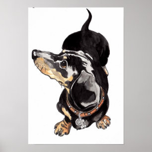 affiche dachshund