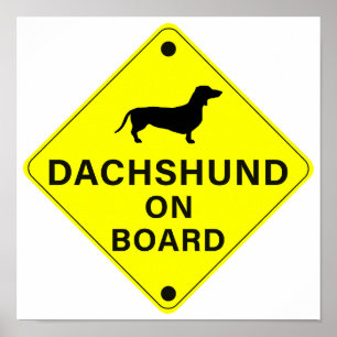 Affiche Dachshund à bord Funny Dog Bumper