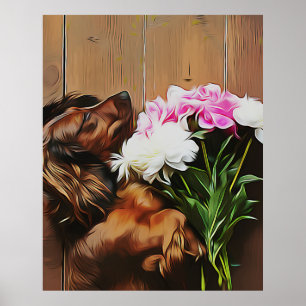 Affiche Dachshund Allongé Sur Le Sol En Bois