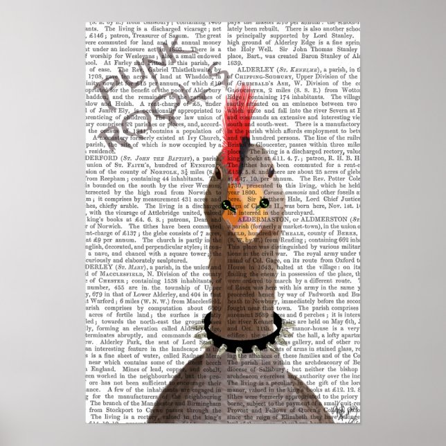 Affiche Dachshund avec chapeau bleu et moustache bleue (Devant)