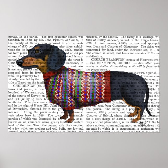 Affiche Dachshund Avec Sweat Laineux (Devant)