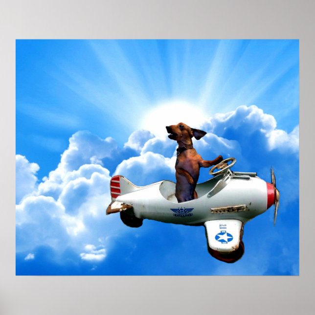 Affiche "Dachshund Aviator" de Zermeno (Devant)