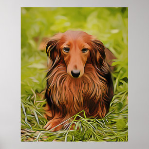 Affiche Dachshund Brown Wiener Sur L'Herbe Dans Le Jardin 