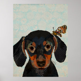 AFFICHE DACHSHUND & BUTTERFLY