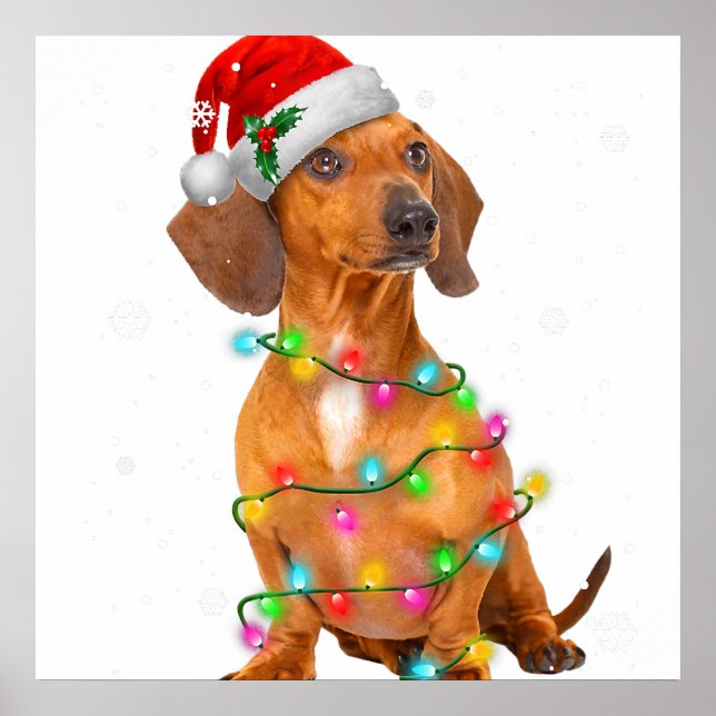 Affiche Dachshund Dogs Tree Christmas Sweater Xmas Toxits  (Devant)