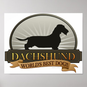 Affiche Dachshund [Fil à cheveux]