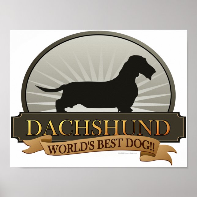 Affiche Dachshund [Fil à cheveux] (Devant)