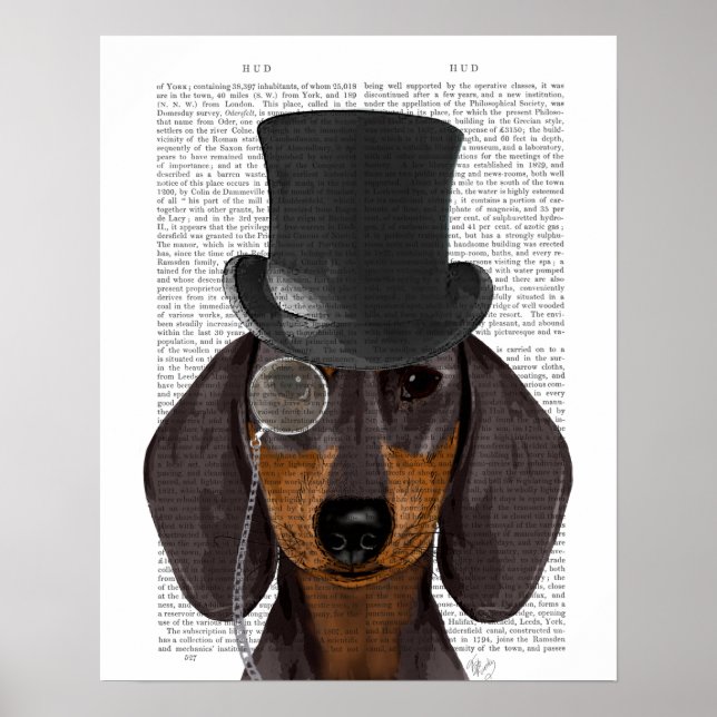Affiche Dachshund, Hound officiel et Casquette (Devant)