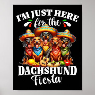 Affiche Dachshund juste ici pour le cinco de mayo dachshun