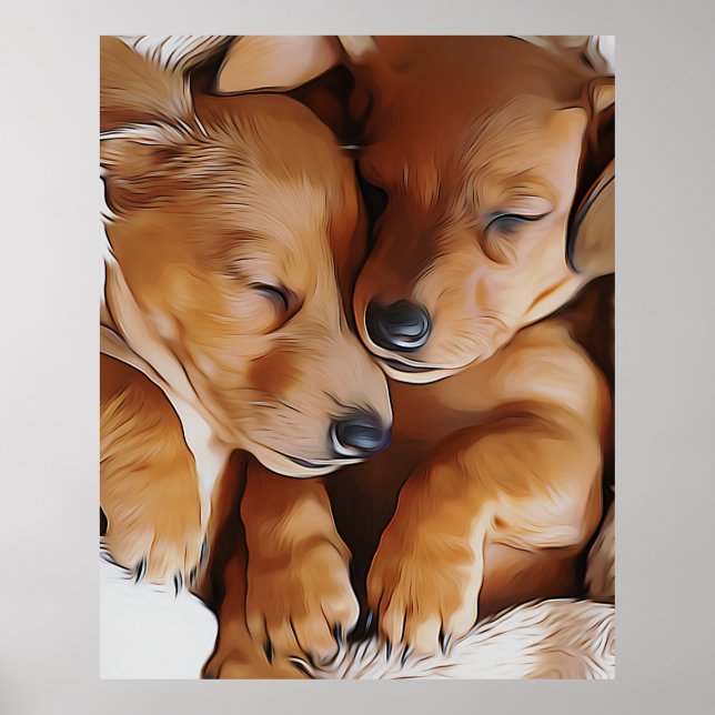Affiche Dachshund mignon Dachshund Chiots Dachshund Annive (Devant)
