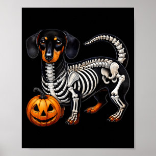 Affiche Dachshund squelette Jack O Lantern Drôle de chien