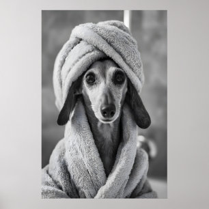 Affiche Dachshund sur une serviette, Mur de salle de bain 