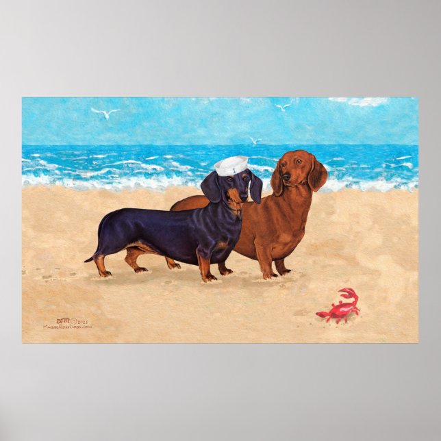 Affiche Dachshunds à la plage (Devant)
