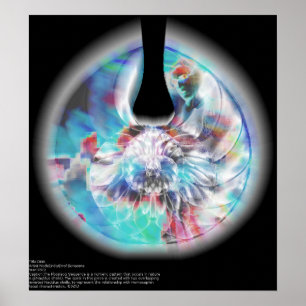 Affiche d'ADN (2012) NodeEndo