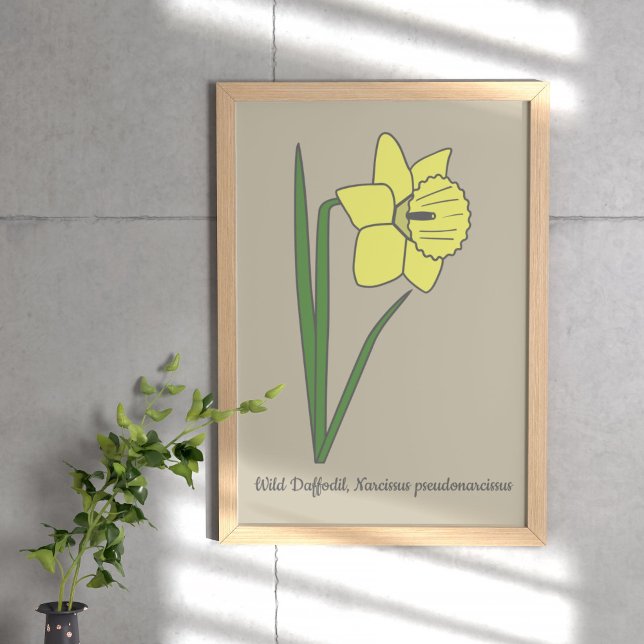 Affiche Daffodile botanique Pastel Flower (Botanical Daffodil Poster)