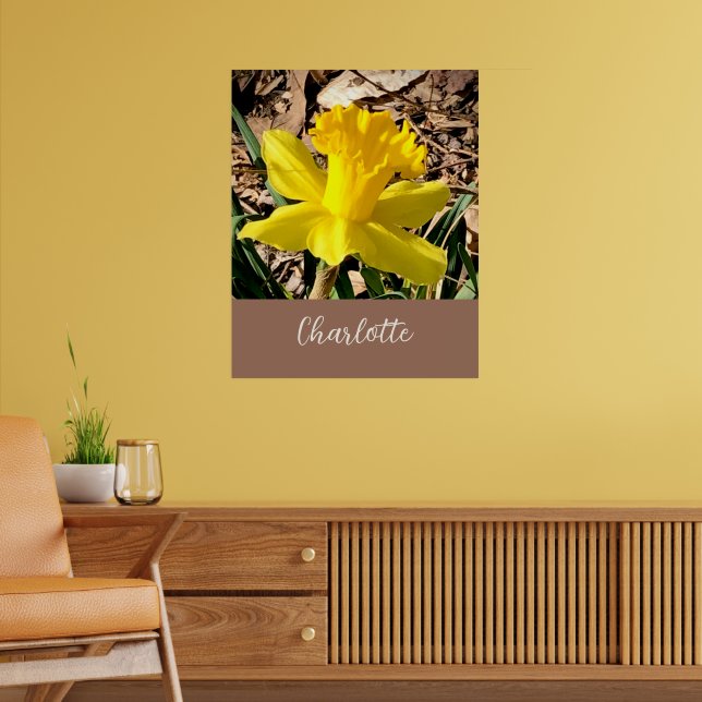 Affiche Daffodile de printemps jaune dans le jardin Nom pe (Salon 2)