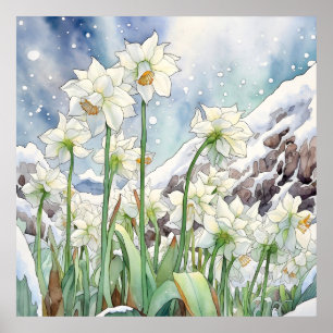 Affiche Daffodique Sous Mur De Neige Art, Carré Floral