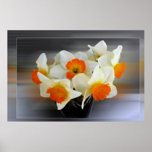 Affiche Daffodiques du début du printemps