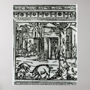 Affiche d'Agriculture de théâtre et champions de DES de