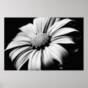 Affiche Daisy