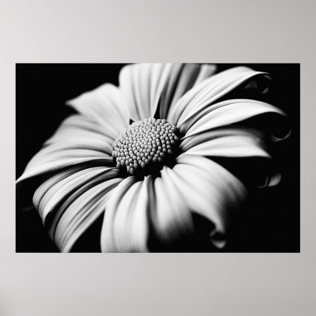 Affiche Daisy (Devant)