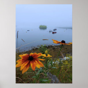 Affiche Daisy coloré, Lubec Maine