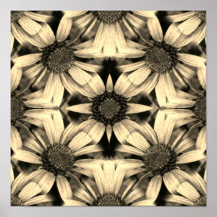 Affiche Daisy Flowers Miroir Sepia Abstrait