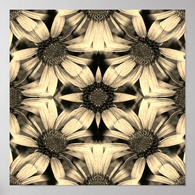 Affiche Daisy Flowers Miroir Sepia Abstrait (Devant)