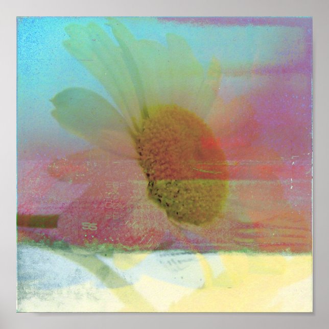 Affiche Daisy Glitch (Devant)