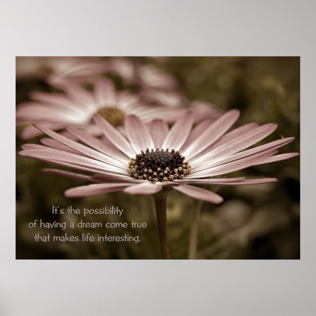 Affiche Daisy Macro (Devant)
