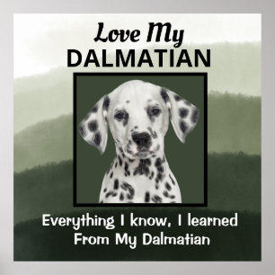 Affiche Dalmatie