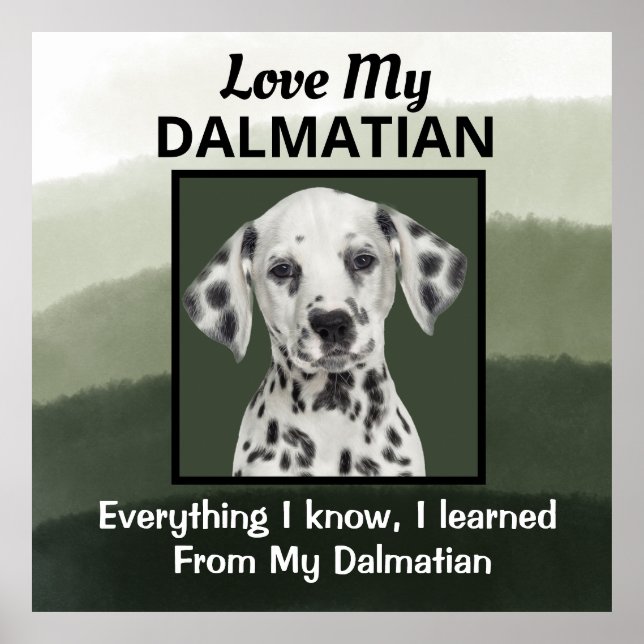 Affiche Dalmatie (Devant)