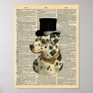 Affiche Dalmatie vintage dans le chapeau supérieur sur la