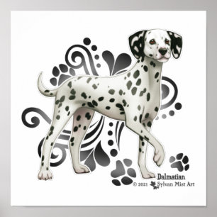 Affiche Dalmatien