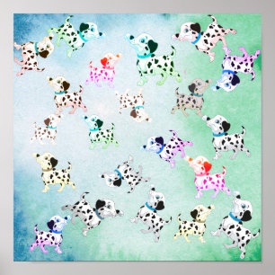 Affiche Dalmatien
