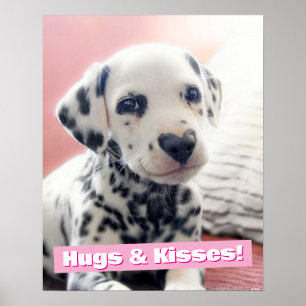 Affiche Dalmatien Nez de Coeur