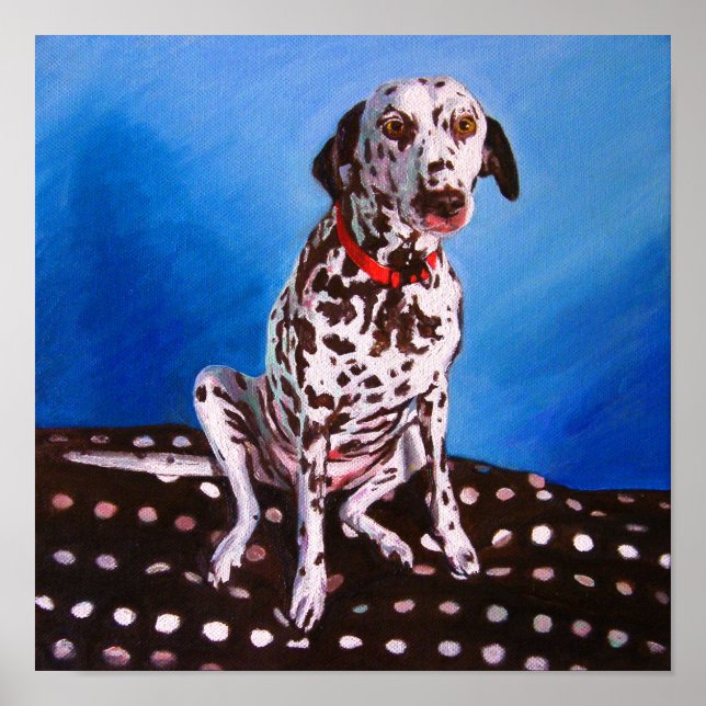 Affiche Dalmatien sur coussin rustique 2011 (Devant)