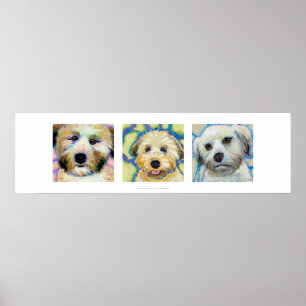 Affiche D'amusement blond comme les blés de trois art