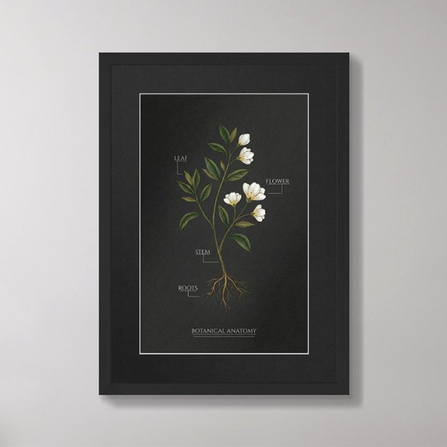 Affiche d'anatomie botanique Dark Academia (Créateur téléchargé)