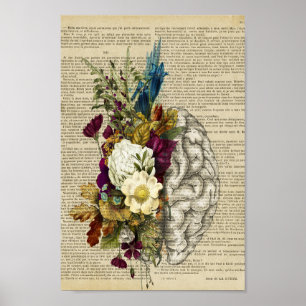 affiche d'anatomie du cerveau floral médical