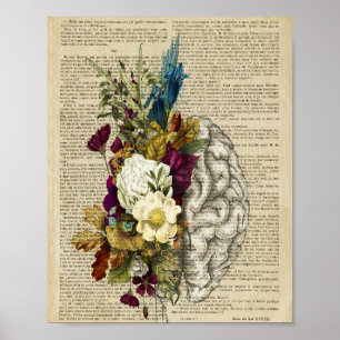 affiche d'anatomie du cerveau floral médical