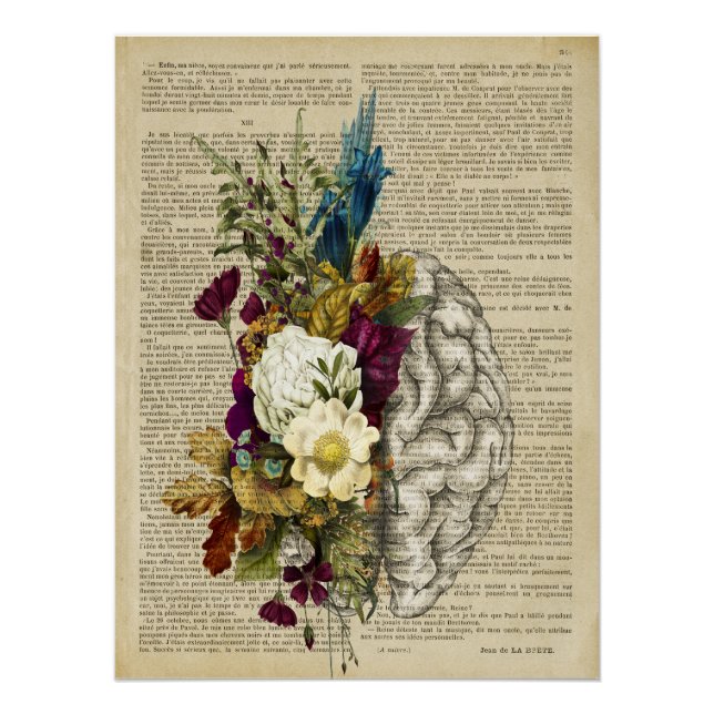 affiche d'anatomie du cerveau floral médical (Devant)