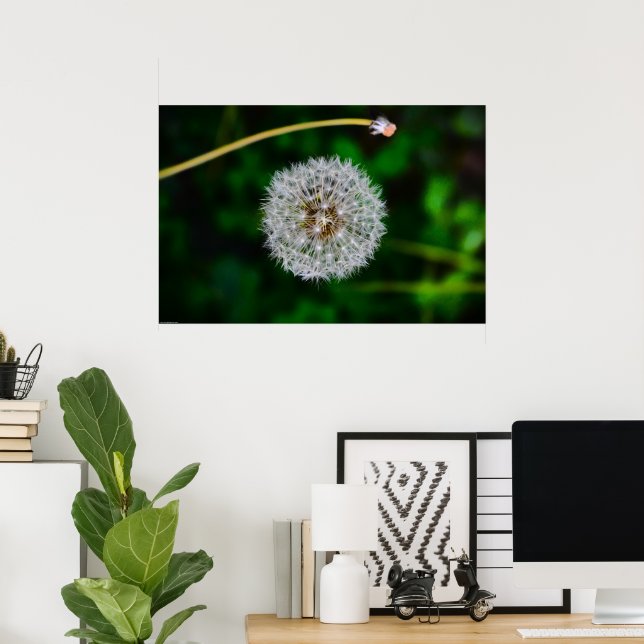 Affiche Dandelion, (Bureau à domicile)