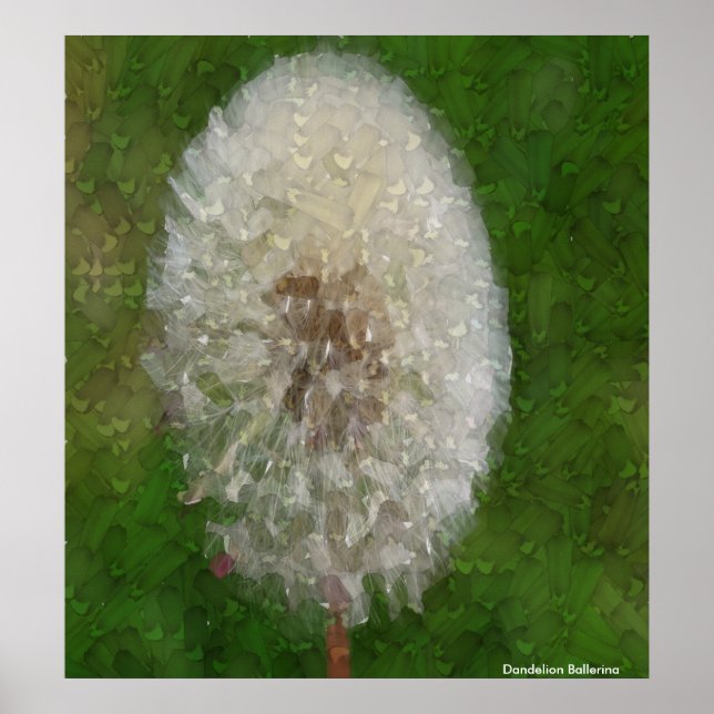 Affiche Dandelion Ballerina by Celeste Sheffey (Devant)